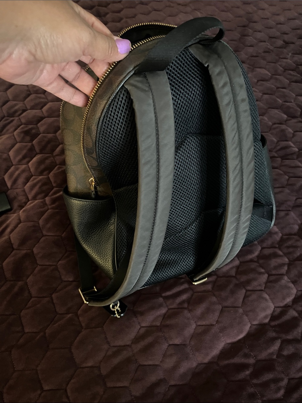 Coach Brown/Black Signature Mini Backpack with Gold Hardware - Picture 2 of 6